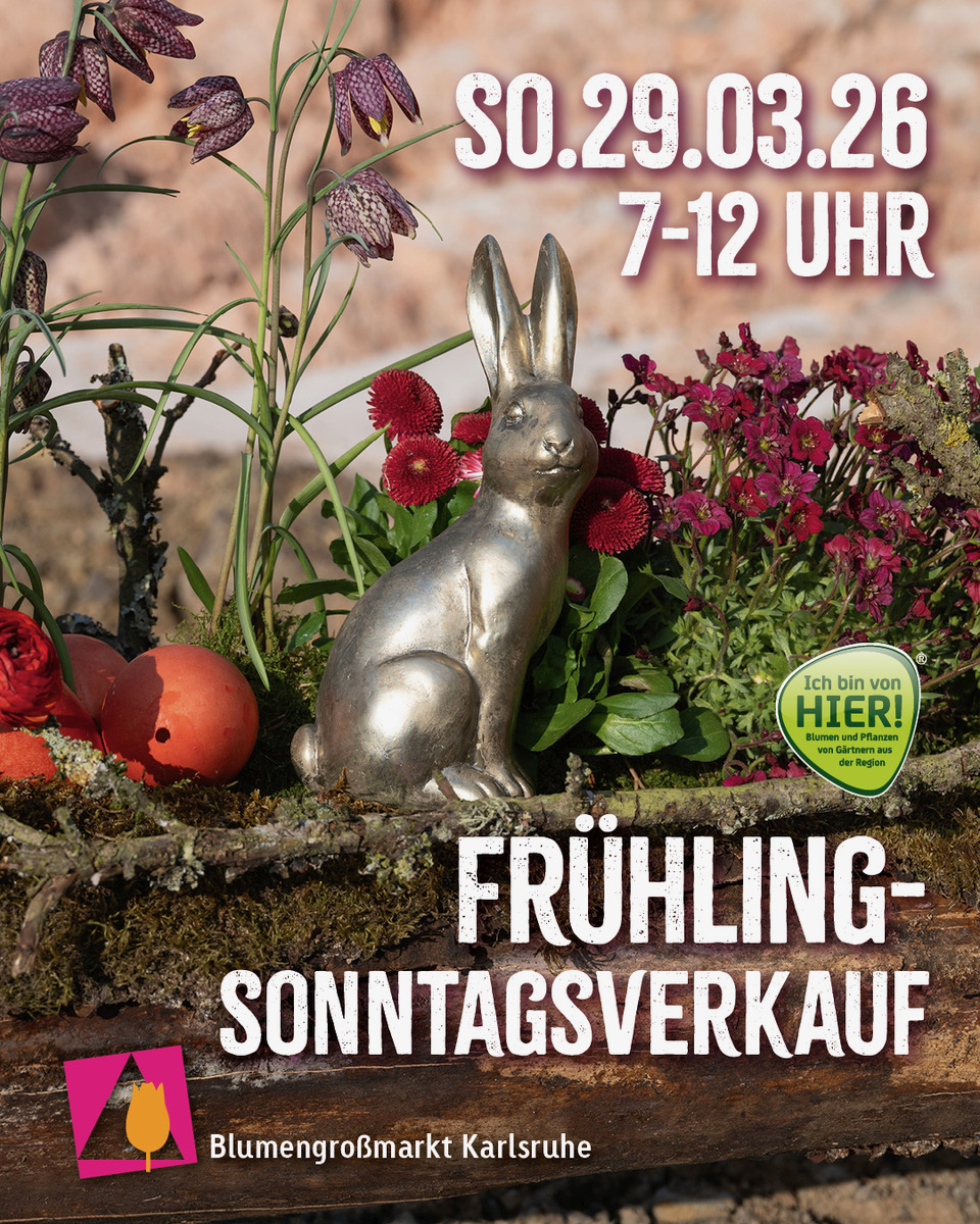 insta 26 fruehBoerse